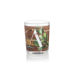 Candela "A" 70gr Amber & wood di Pernici