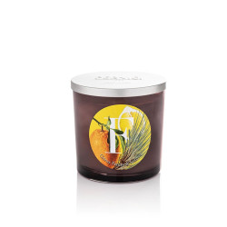 Candela "F" 350gr Citrus Fruit & Vetiver Candela di Pernici
