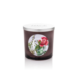 Candela "C" 350gr Camellia & Sage di Pernici