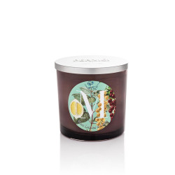 Candela "M" 350gr Mint Leaves & Lime di Pernici