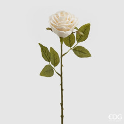 Rosa avorio ramo h51 di EDG