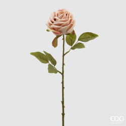 Rosa pesca ramo h51 di EDG