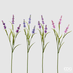 Lavanda rex x3 fiori EDG