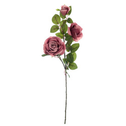 Rosa stelo 3 fiori Blanc Mariclò