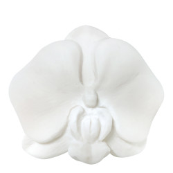 Sapone orchidea profumo Bouquet Prezioso
