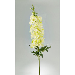 Delphinium eden EDG, H93 cm, avorio