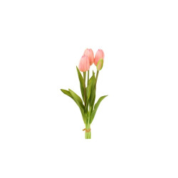Mazzo 5 tulipani rosa chiaro h 40cm
