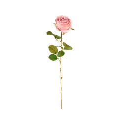 Rosa colore rosa pallido, h 63cm